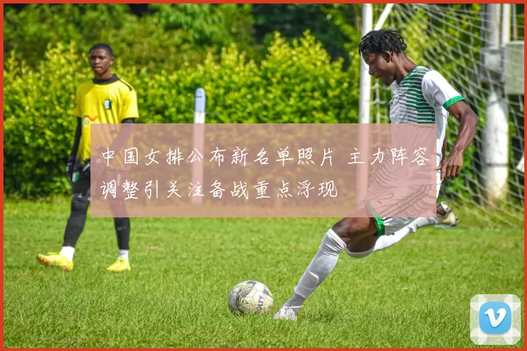 中国女排公布新名单照片 主力阵容调整引关注备战重点浮现