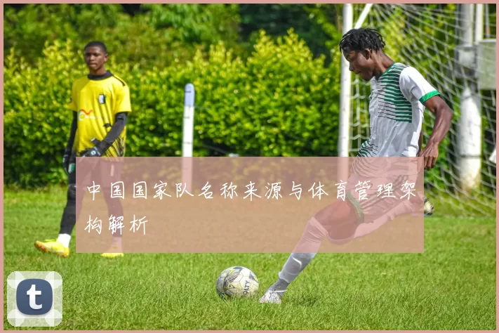 中国国家队名称来源与体育管理架构解析