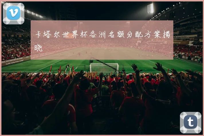 卡塔尔世界杯各洲名额分配方案揭晓
