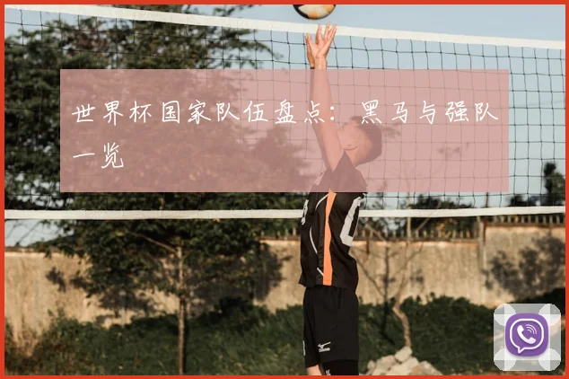 世界杯国家队伍盘点:黑马与强队一览