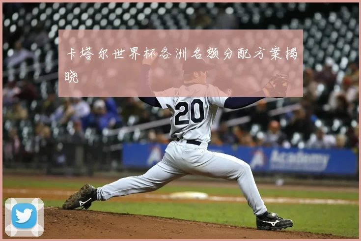 卡塔尔世界杯各洲名额分配方案揭晓