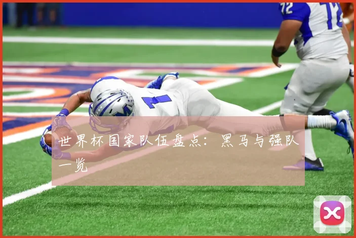 世界杯国家队伍盘点:黑马与强队一览
