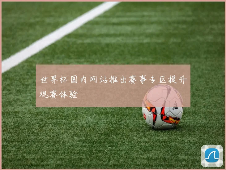 世界杯国内网站推出赛事专区提升观赛体验