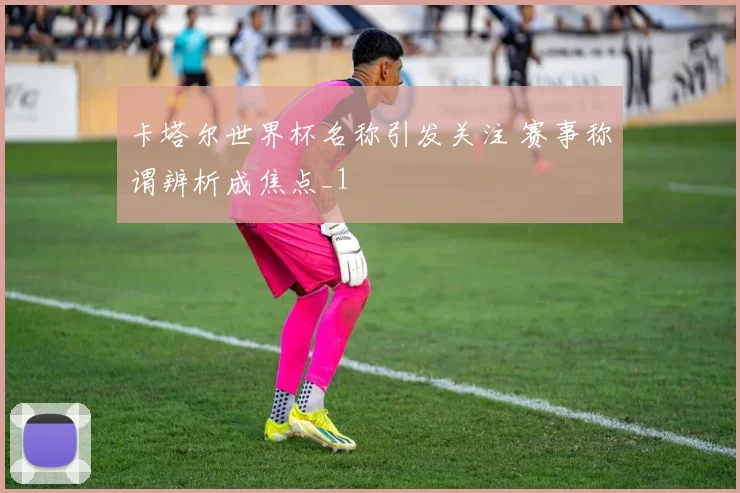 卡塔尔世界杯名称引发关注 赛事称谓辨析成焦点_1