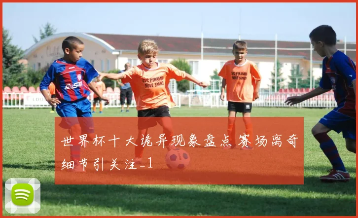 世界杯十大诡异现象盘点 赛场离奇细节引关注_1