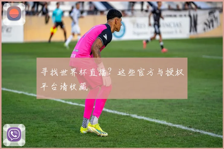 寻找世界杯直播?这些官方与授权平台请收藏