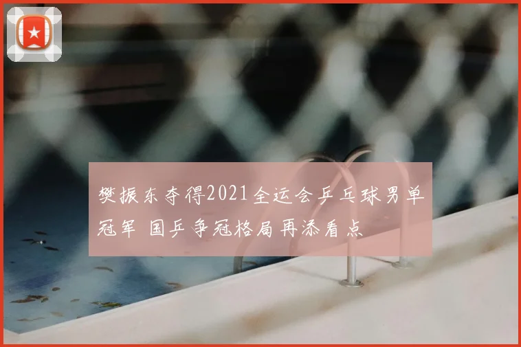 樊振东夺得2021全运会乒乓球男单冠军 国乒争冠格局再添看点