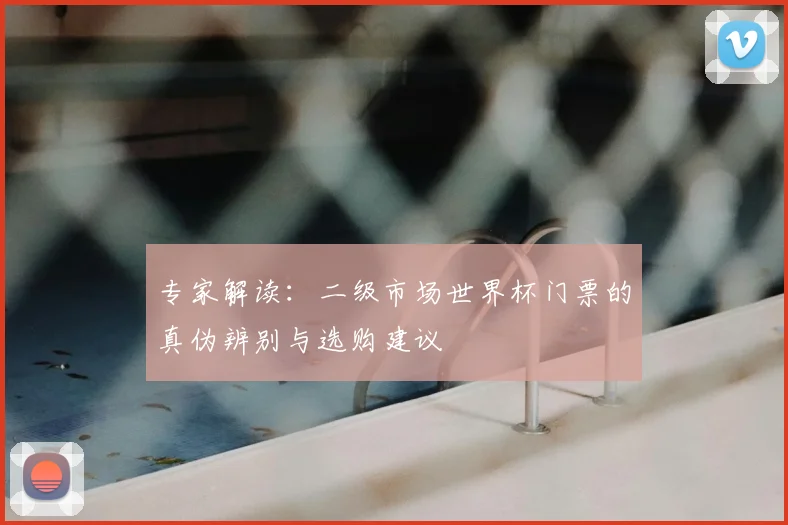 专家解读:二级市场世界杯门票的真伪辨别与选购建议