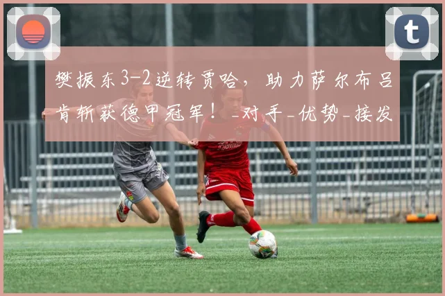 樊振东3-2逆转贾哈,助力萨尔布吕肯斩获德甲冠军!_对手_优势_接发球