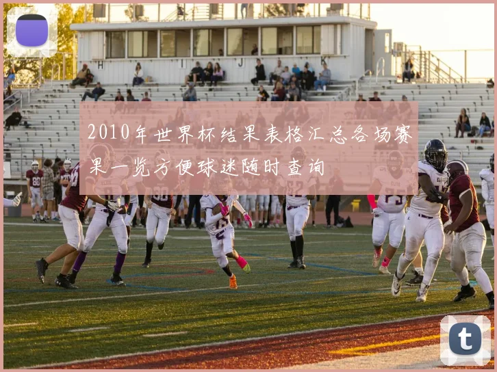 2010年世界杯结果表格汇总各场赛果一览方便球迷随时查询