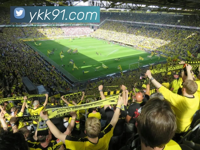 多媒体互动体验